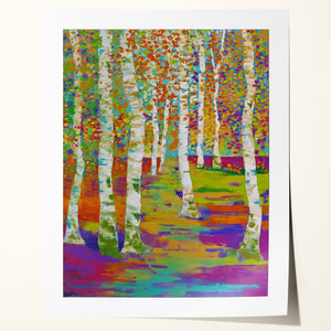 Birch Path - Art Print