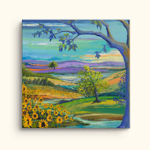 Provence