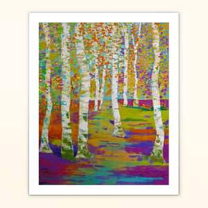 Birch Path - Art Print