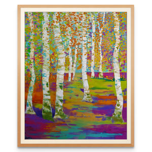 Birch Path - Art Print